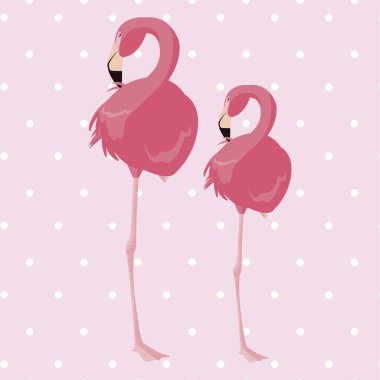 arka plan zarif flamingo kuşları çift noktalı