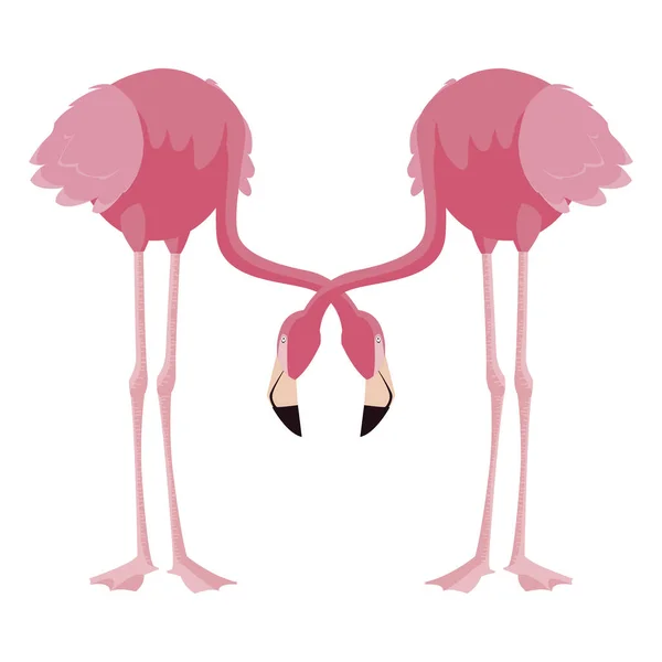 Элегантные птицы фламинго — стоковый вектор