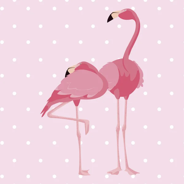 Para elegancki flamingo ptaki przerywaną tło — Wektor stockowy