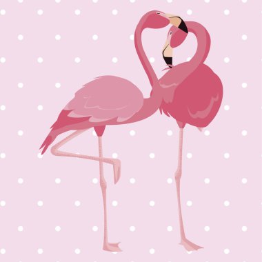 arka plan zarif flamingo kuşları çift noktalı