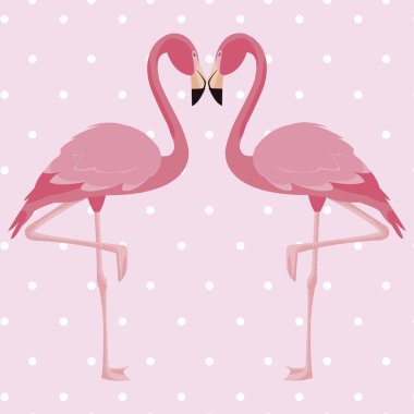 arka plan zarif flamingo kuşları çift noktalı