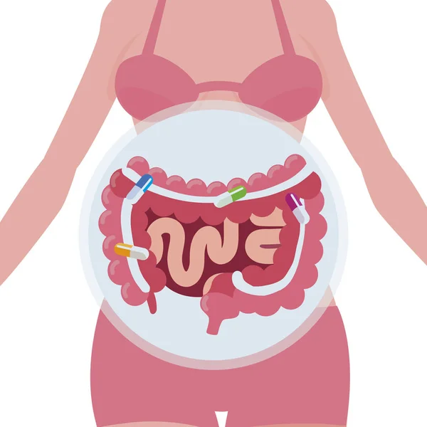 Anatomie féminine avec système digestif — Image vectorielle