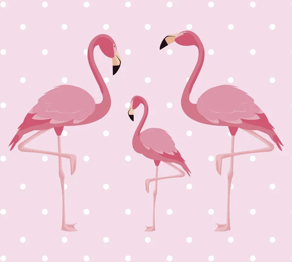Elegante Flamingo Vögel Familie gepunkteten Hintergrund — Stockvektor