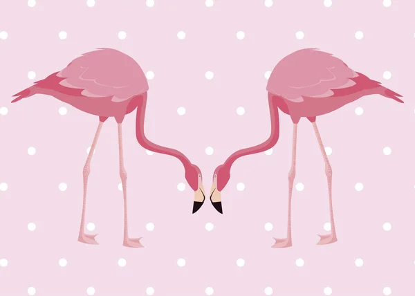 Elegante Flamingo Vögel Paar gepunkteten Hintergrund — Stockvektor