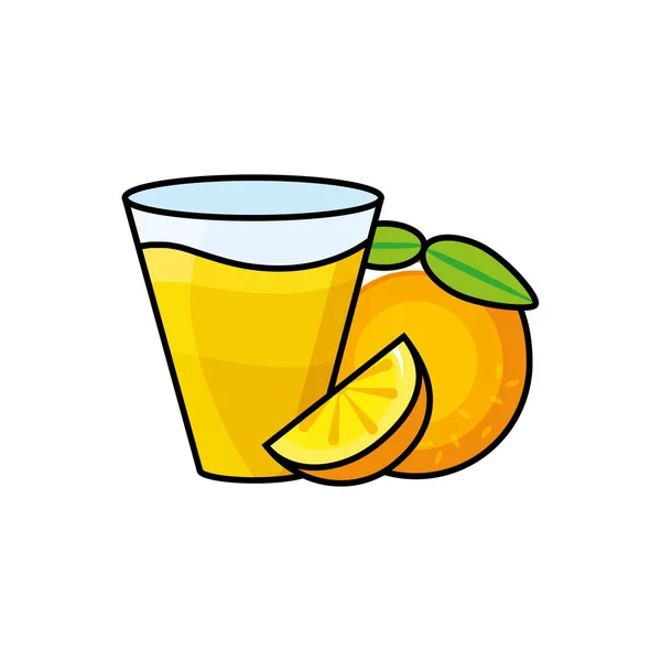 Pohár friss narancs citrusfélék — Stock Vector