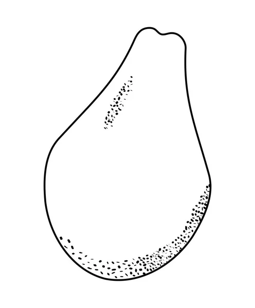 新鮮なパパイヤ果実の健康 — ストックベクタ