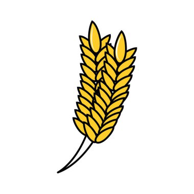 Spike pirinç izole simgesi