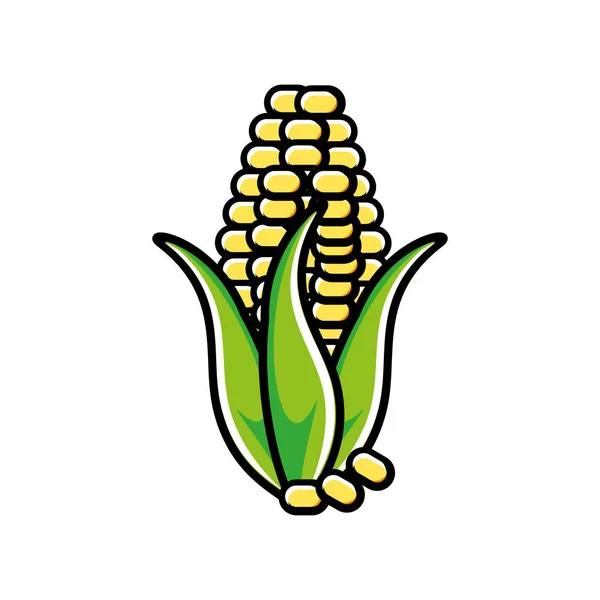 Ícone vegetal de milho fresco —  Vetores de Stock