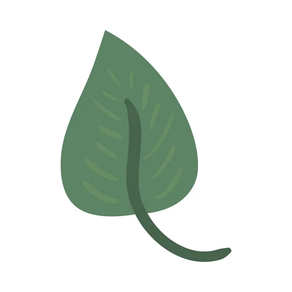 Grüne Blattnatur — Stockvektor