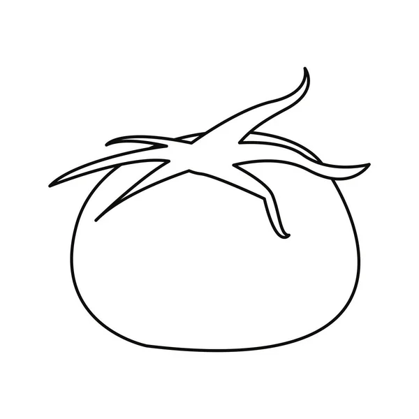 Icono de tomate vegetal — Vector de stock