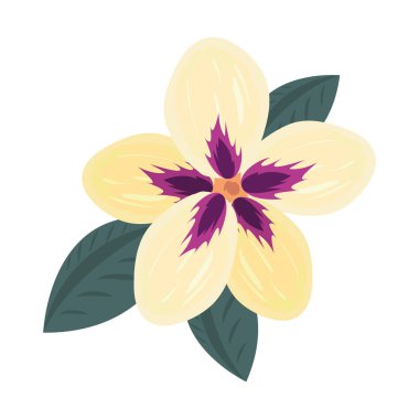 narin çiçek dekorasyonu