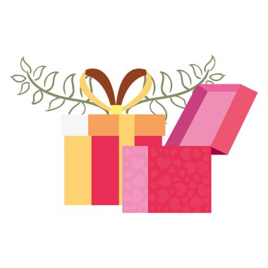 hediye kutusu çiçek