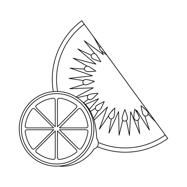 Rebanada fresca de kiwi y frutas de naranja saludables — Vector de stock