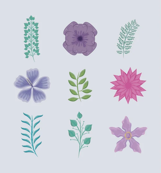 Serie di rami con foglie e fiori — Vettoriale Stock