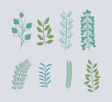 dallar ile kümesi doğal yapraklar