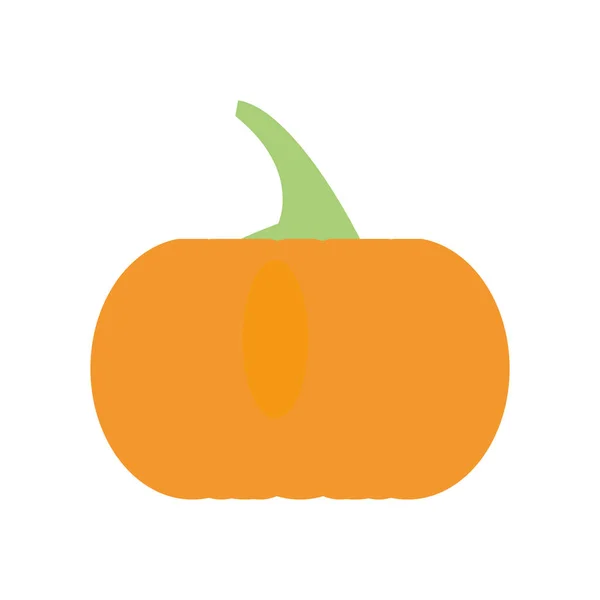 Fresh pumpkin isolated icon — Stock Vector