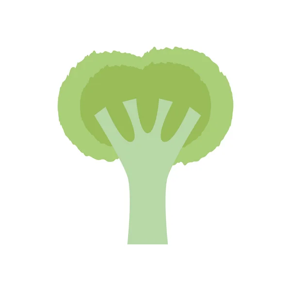 Frischer Brokkoli isoliert Symbol — Stockvektor