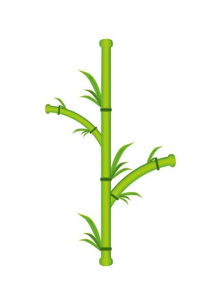 Planta de bambú icono natural — Vector de stock