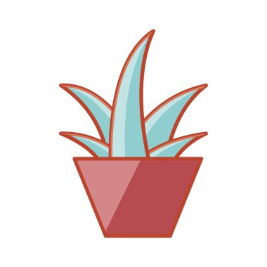 çömlekte izole edilmiş ikon bitki