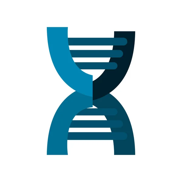 DNA molekülü genetik — Stok Vektör