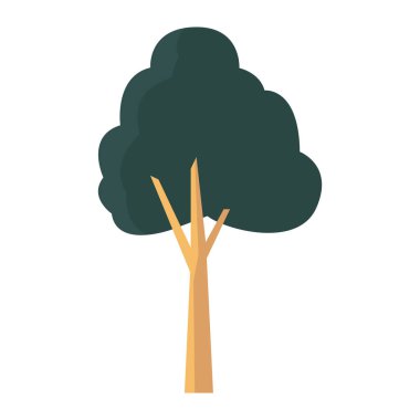 beyaz doğa gövde arka plan ağaç yeşillik