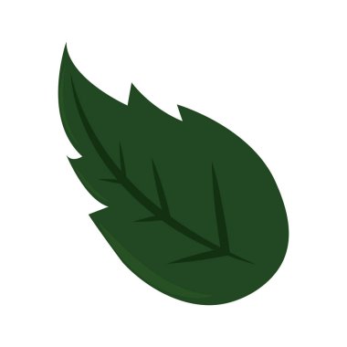 doğa izole folige tasarlamak yaprak yeşil