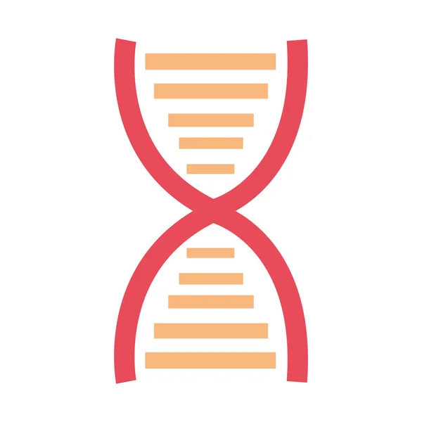 DNA molekülü genetik — Stok Vektör