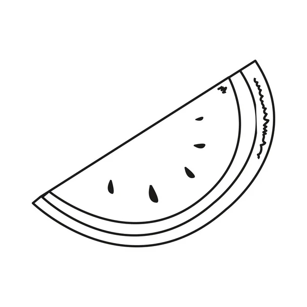 Fruits tropicaux pastèque conception isolée — Image vectorielle