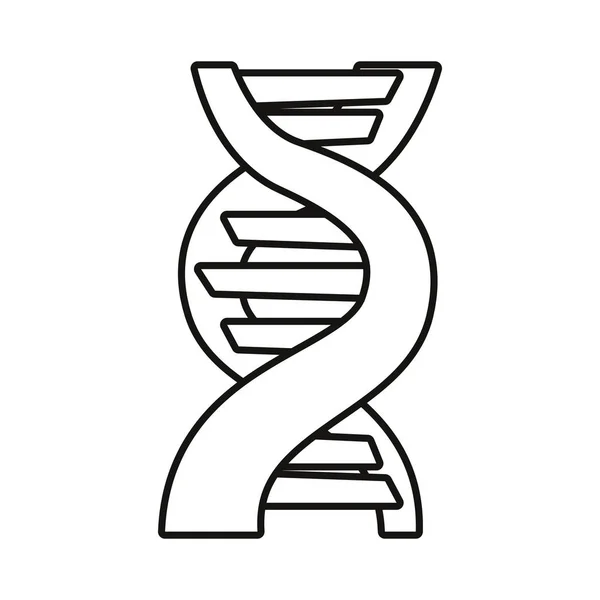 Molécula de dna genética —  Vetores de Stock