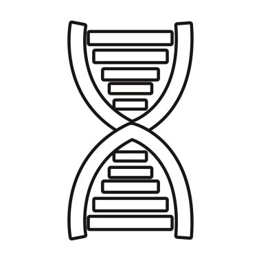 DNA molekülü genetik