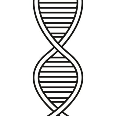 DNA molekülü genetik