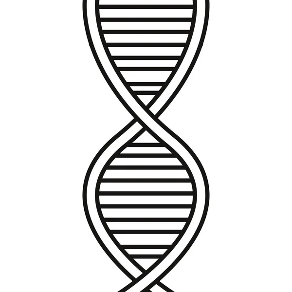 DNA molekülü genetik — Stok Vektör