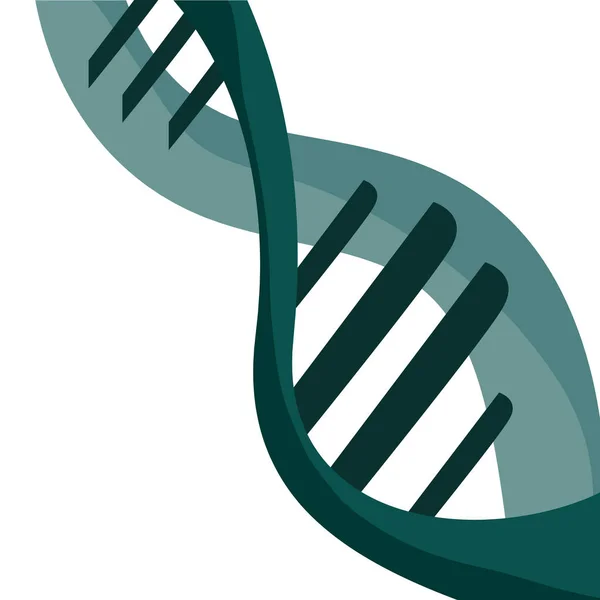 Molécula de dna genética — Vetor de Stock
