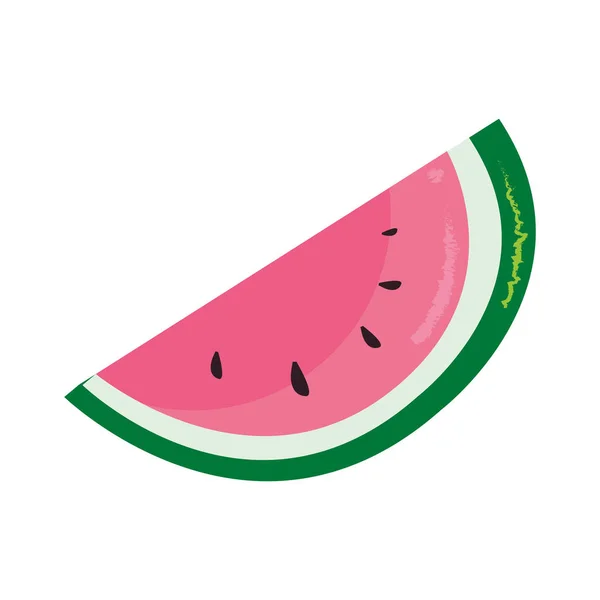 Sandía de frutas tropicales diseño aislado — Vector de stock