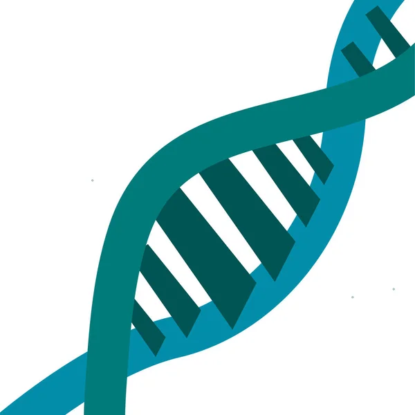 Molécule d'ADN génétique — Image vectorielle