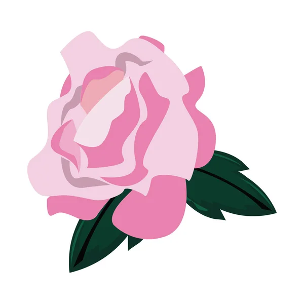 Zarte Blume Rose Natur Blätter — Stockvektor
