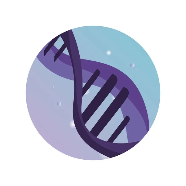DNA γενετικό υλικό επιστήμη αυτοκόλλητο — Διανυσματικό Αρχείο