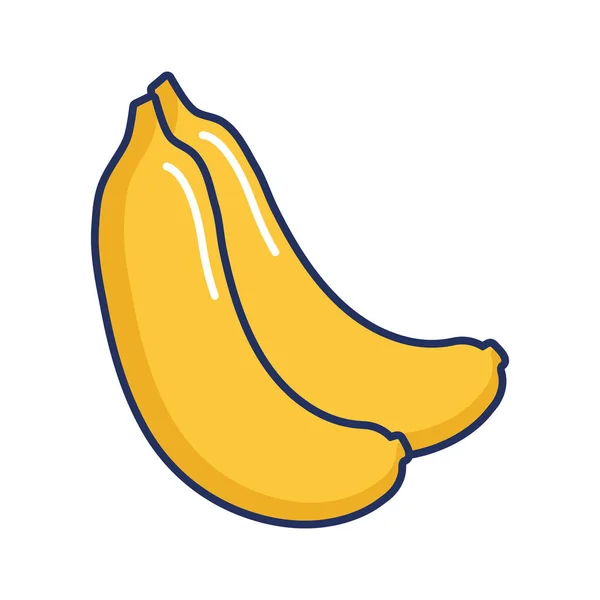 Plátanos frutas tropicales alimentos naturaleza — Vector de stock