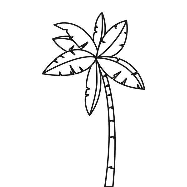 Palmier tropical conception isolée — Image vectorielle