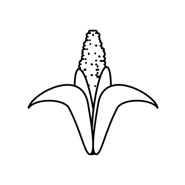 Icono de mazorca fresca aislada — Archivo Imágenes Vectoriales