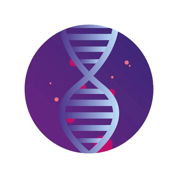 Dna genetic material science sticker — Stock Vector