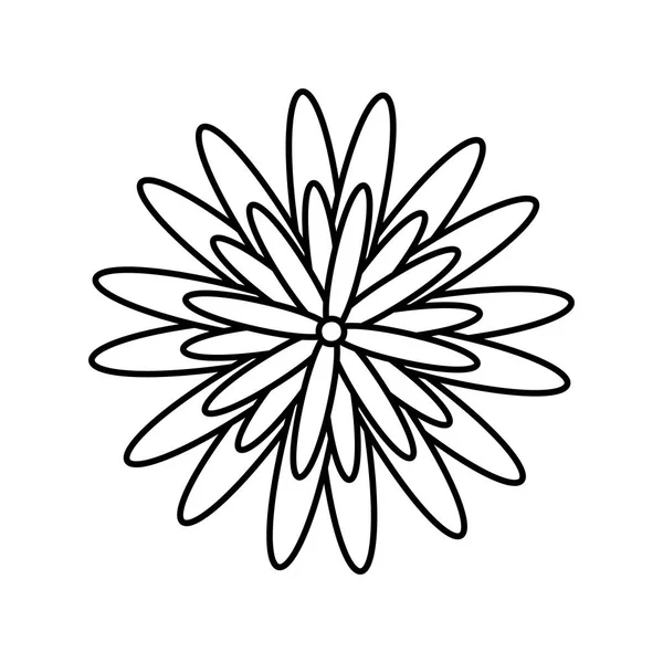 Kinesisk blomma naturlig ikon — Stock vektor