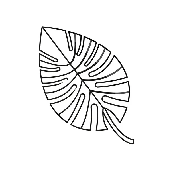 Foglia di palma fogliame disegno naturale isolato — Vettoriale Stock