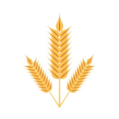 Buğday izole simge