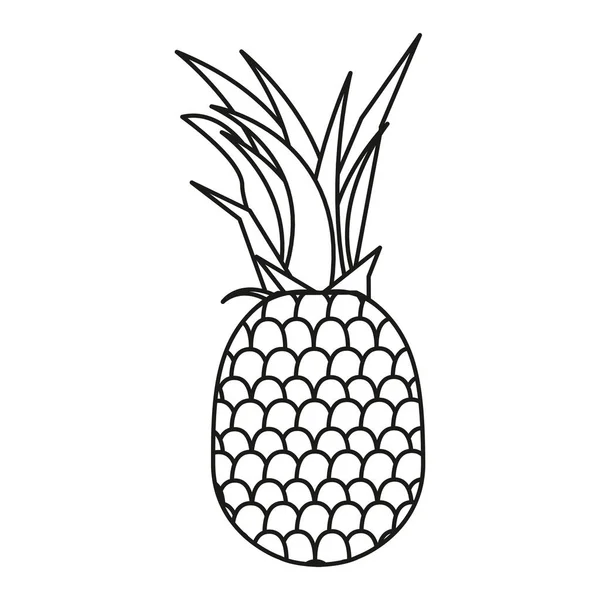 Tropisch ananasfruit geïsoleerd ontwerp — Stockvector
