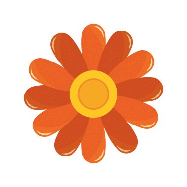 çiçek dekorasyon doğal Flora