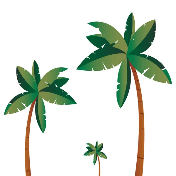 Palmeras tropicales diseño aislado árbol — Vector de stock