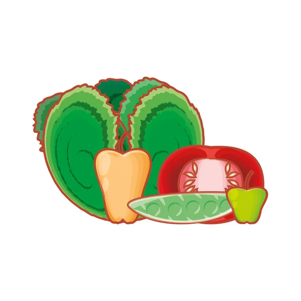 Tomate fraîche avec icône de légumes — Image vectorielle
