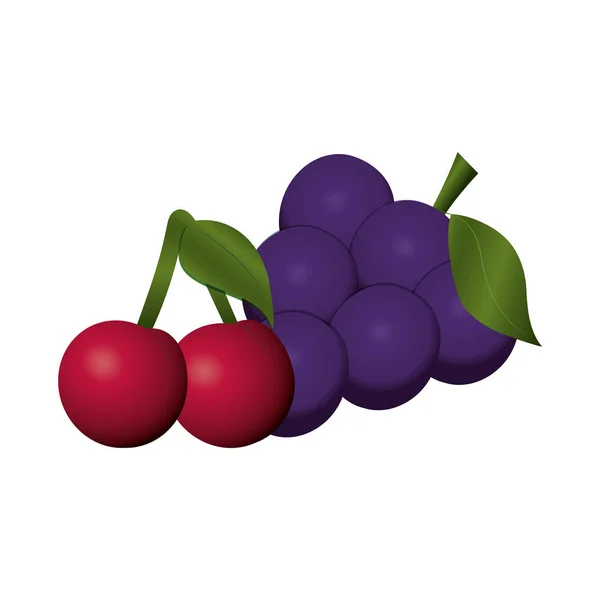 Плоды вишни и виноград — стоковый вектор