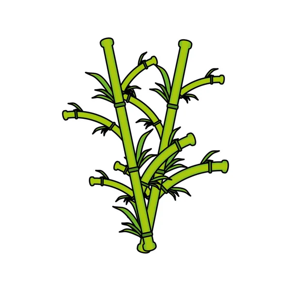 Bambus plante pictograma naturala — Vector de stoc